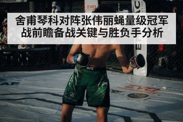 舍甫琴科对阵张伟丽蝇量级冠军战前瞻备战关键与胜负手分析